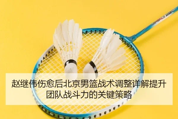 赵继伟伤愈后北京男篮战术调整详解提升团队战斗力的关键策略