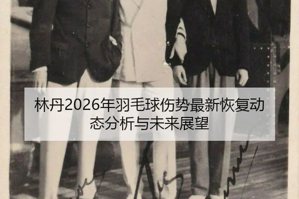 林丹2026年羽毛球伤势最新恢复动态分析与未来展望